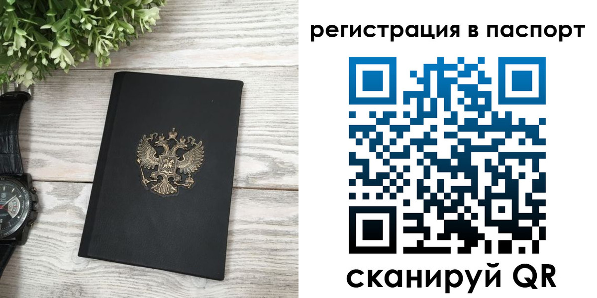 прописка в Мончегорске