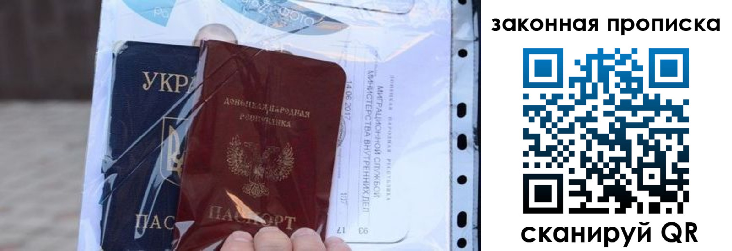 прописка ребенка в Мончегорске